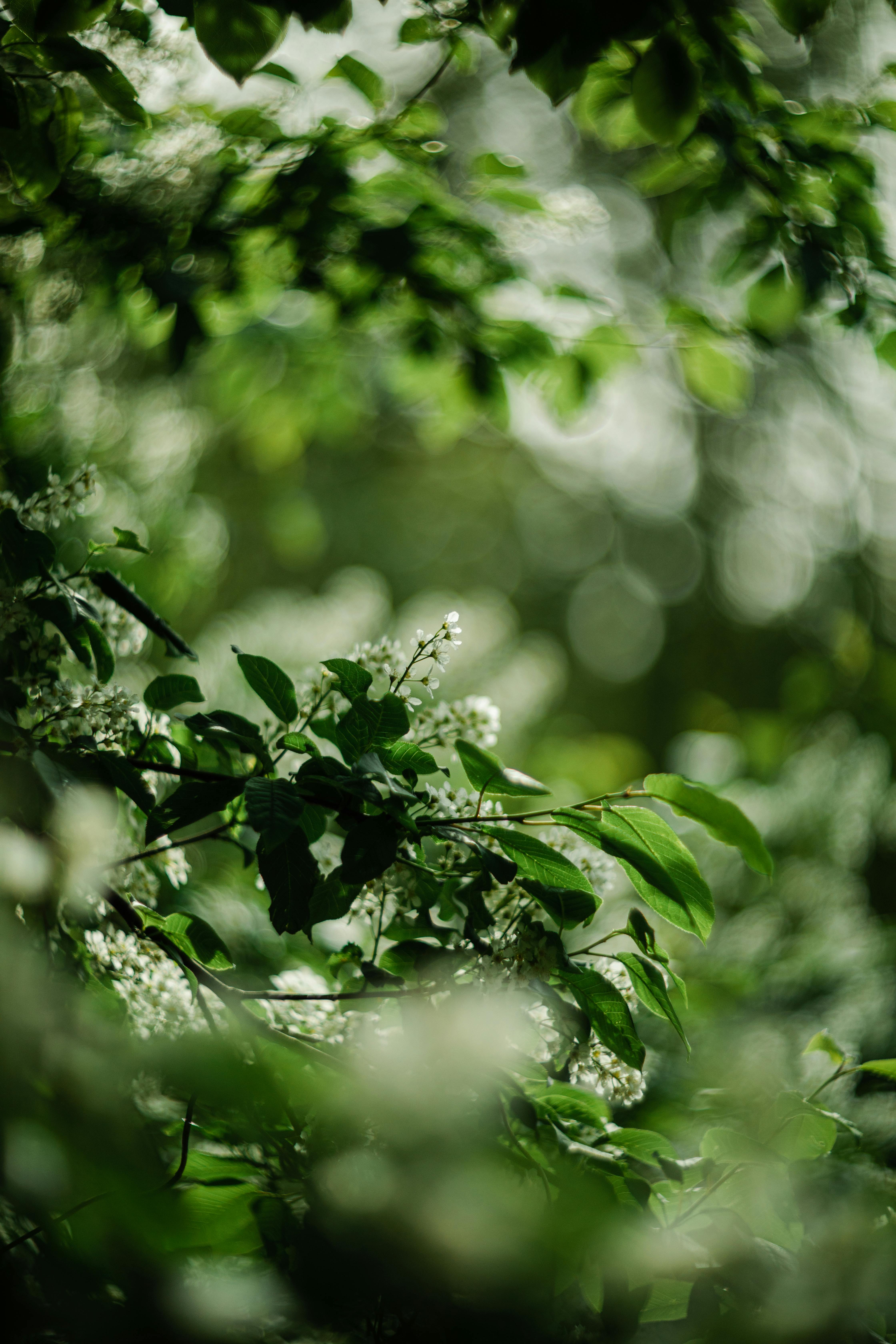 Environmental Documentary Short
